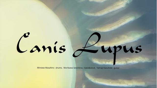ついに新生Canis Lupusがフルメンバーで登場！4/16生放送!!