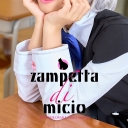 zampetta di micio