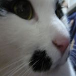 userPhoto