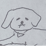 userPhoto