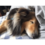 userPhoto