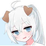 userPhoto