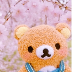 userPhoto