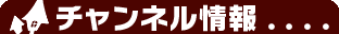 チャンネル情報 